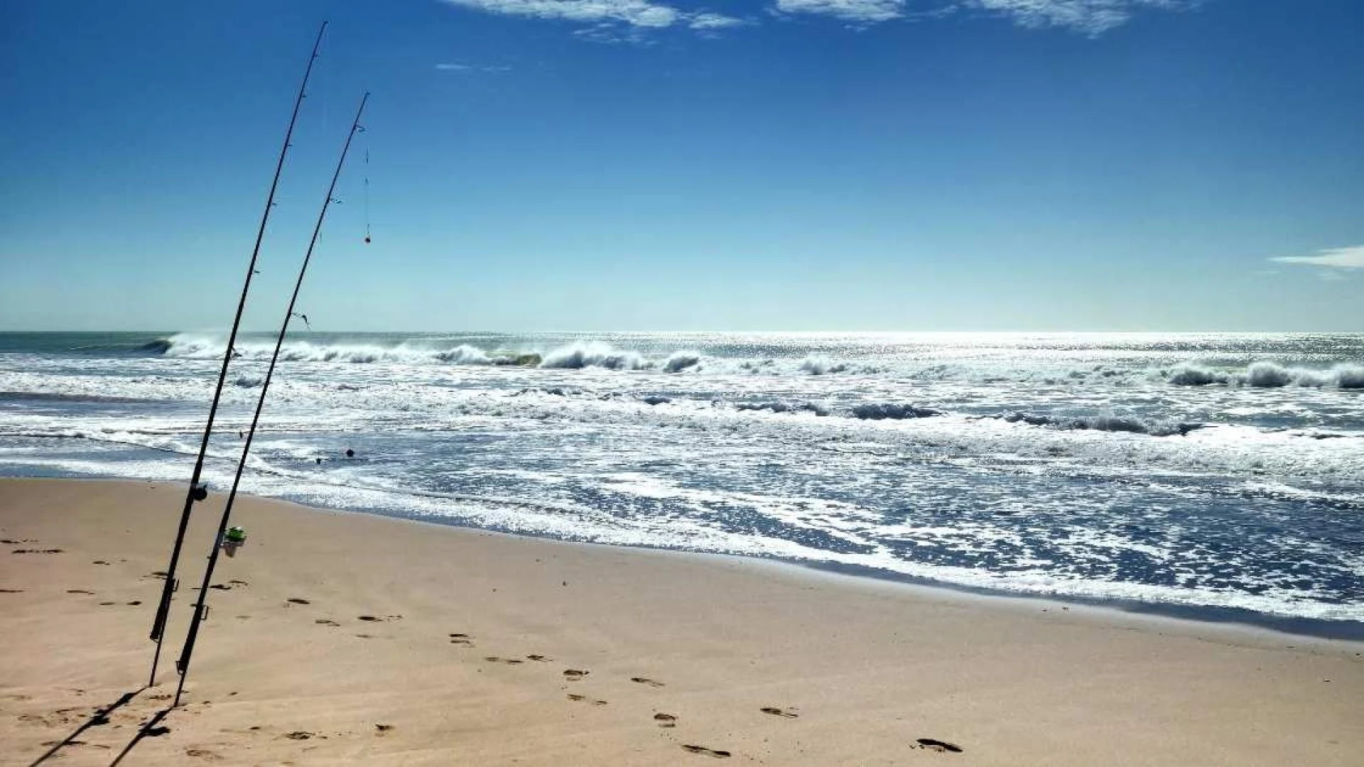 How to Choose the Best RC Bait Boat for Surf Fishing (Without Wasting Money)