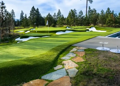 Comparing Artificial Turf and Natural Grass: Cost, Maintenance, and Environmental Impact