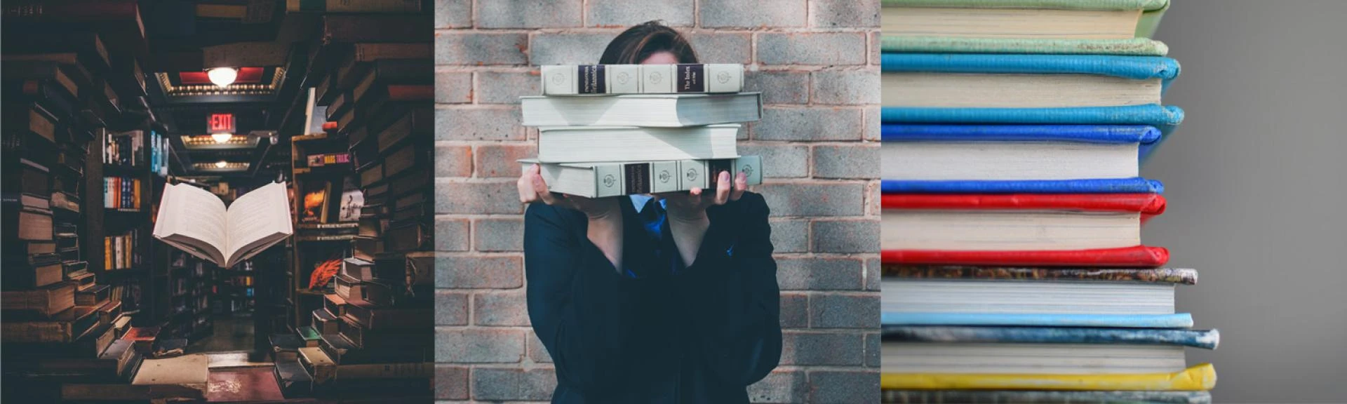 Thesis help Services in UAE