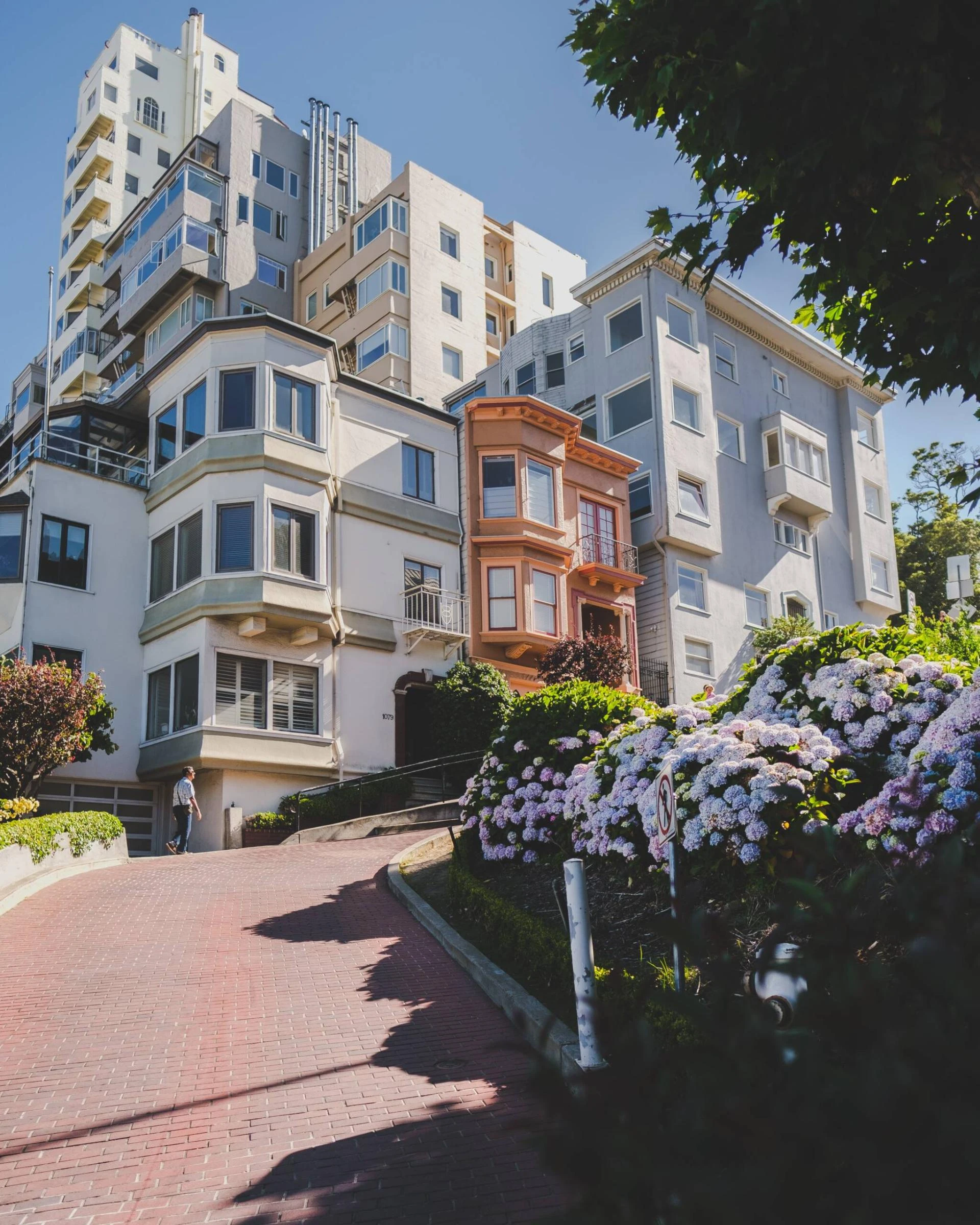 Top Residential Builder Sydney | Custom Homes by Avalon