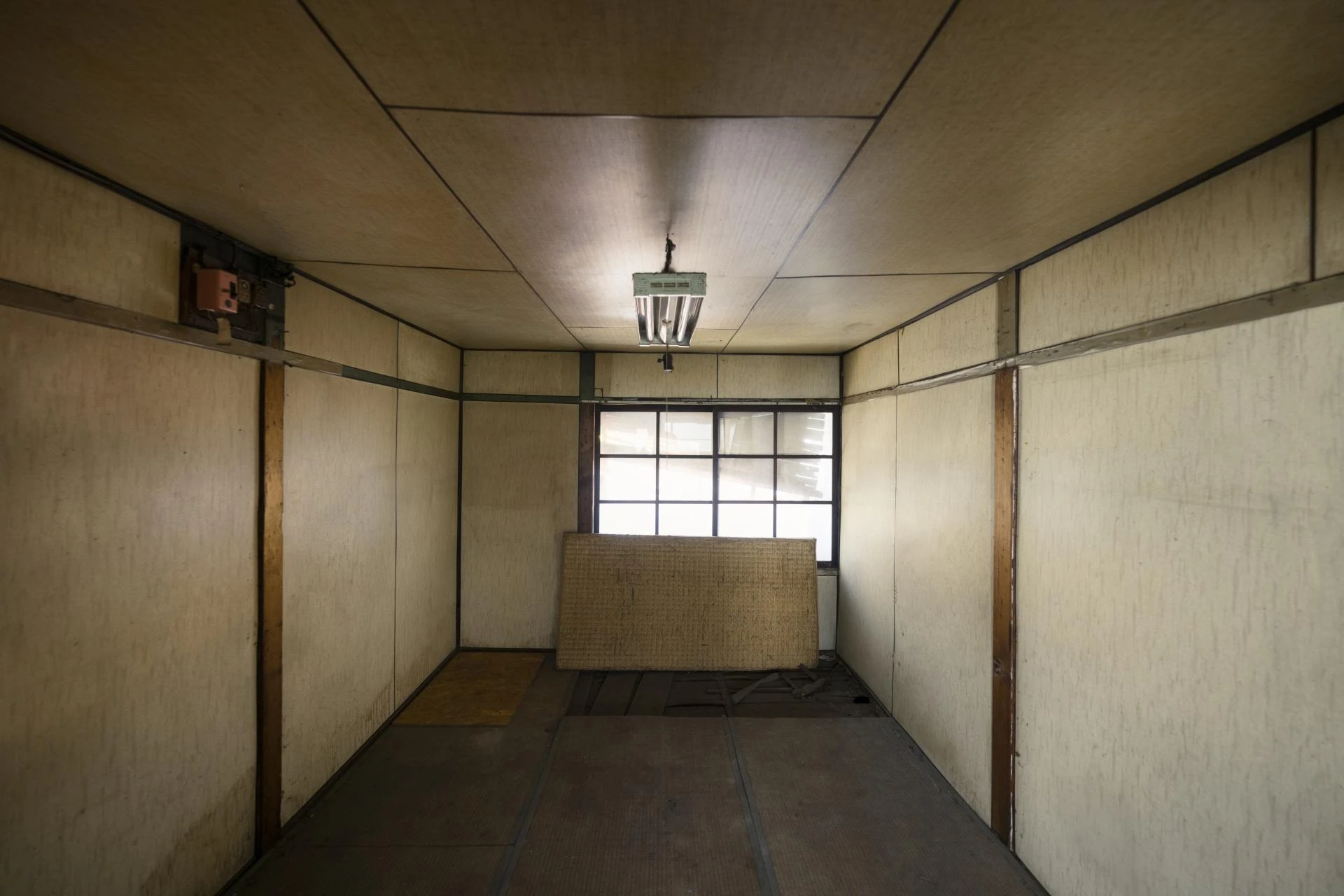 Waterproofing Basement Walls: Expert Tips for a Dry, Safe Home (FAQ Guide)