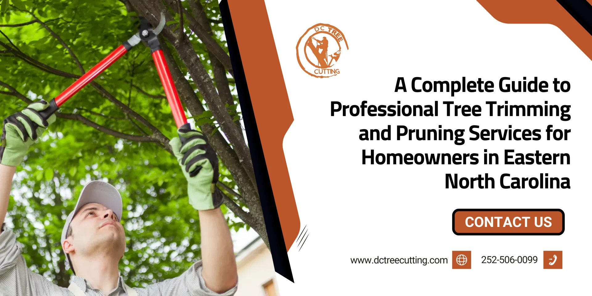 A Complete Guide to Professional Tree Trimming and Pruning Services for Homeowners in Eastern North Carolina