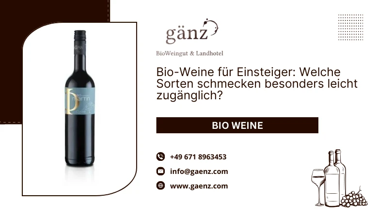 Bio-Weine für Einsteiger: Welche Sorten schmecken besonders leicht zugänglich? 🍇🍷
