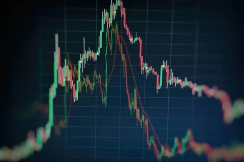 Capvis Pro reviews note support available in several languages for clients