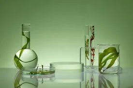 Algae Oil Market Expansion Driven By Rising Demand For Plant-Based Omega-3 Alternatives Globally