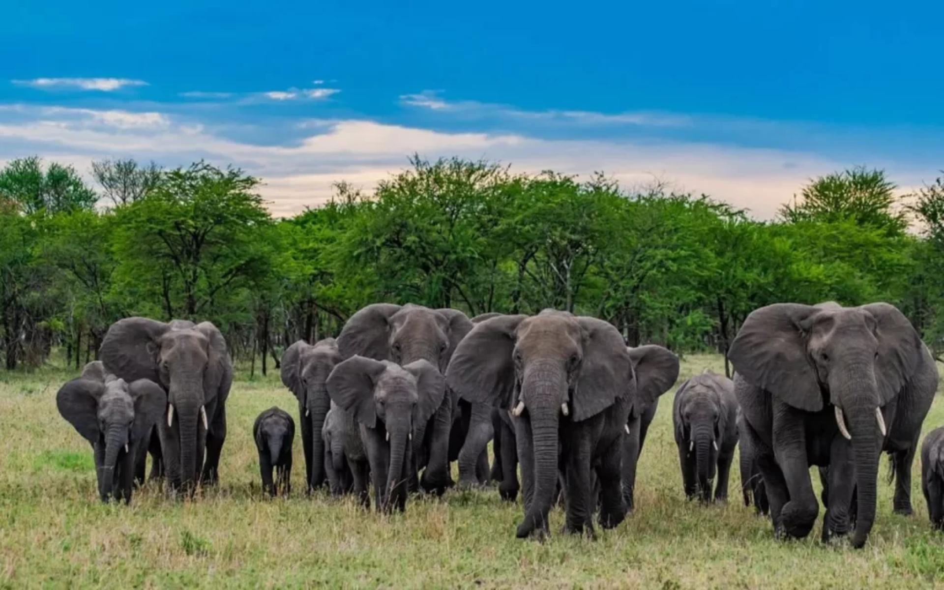 Kilimanjaro Routes: A Complete Guide to Choosing the Best Path to the Roof of Africa