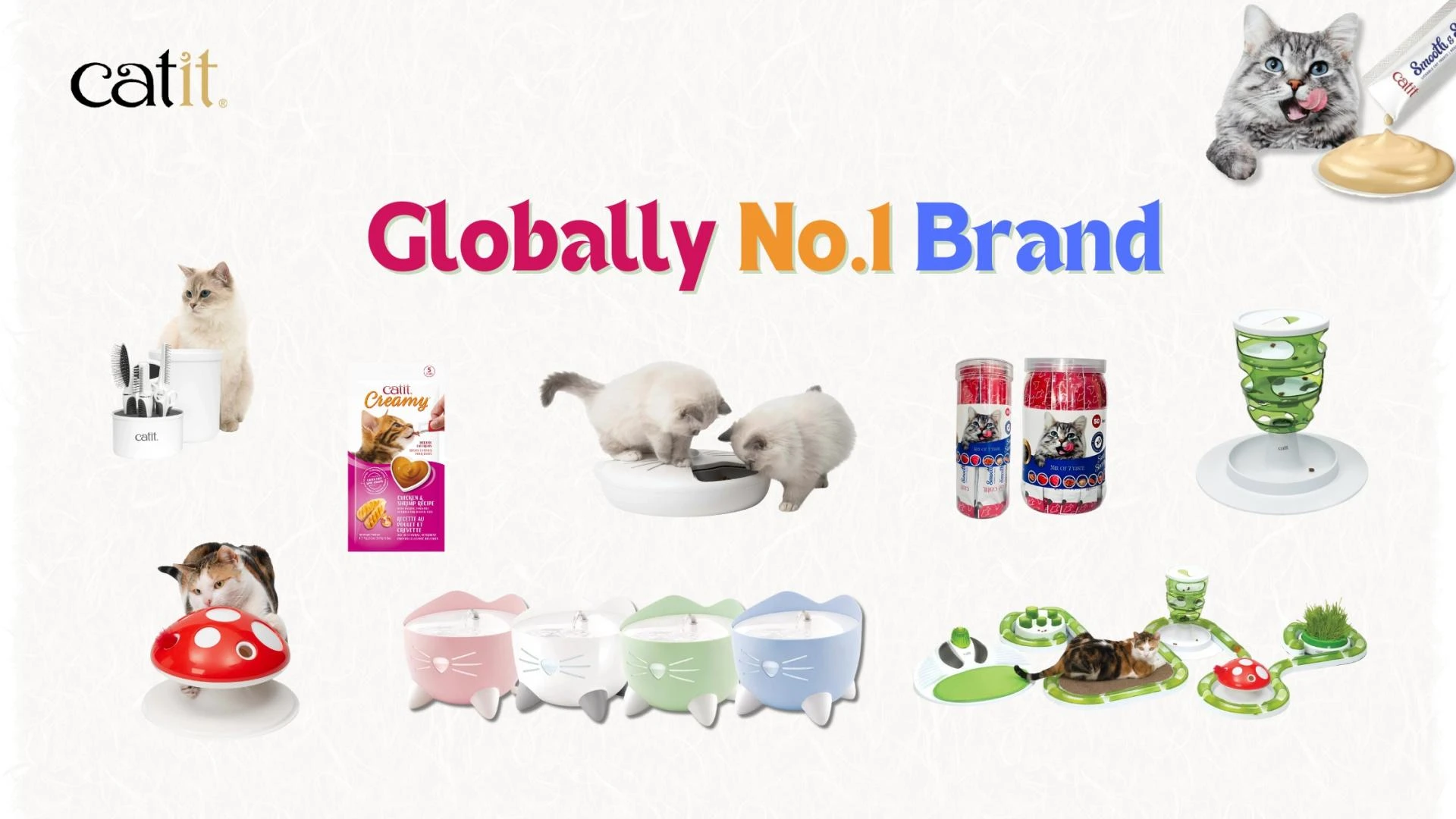 How Catit India Helps You Improve Your Cat’s Health, Comfort & Daily Care