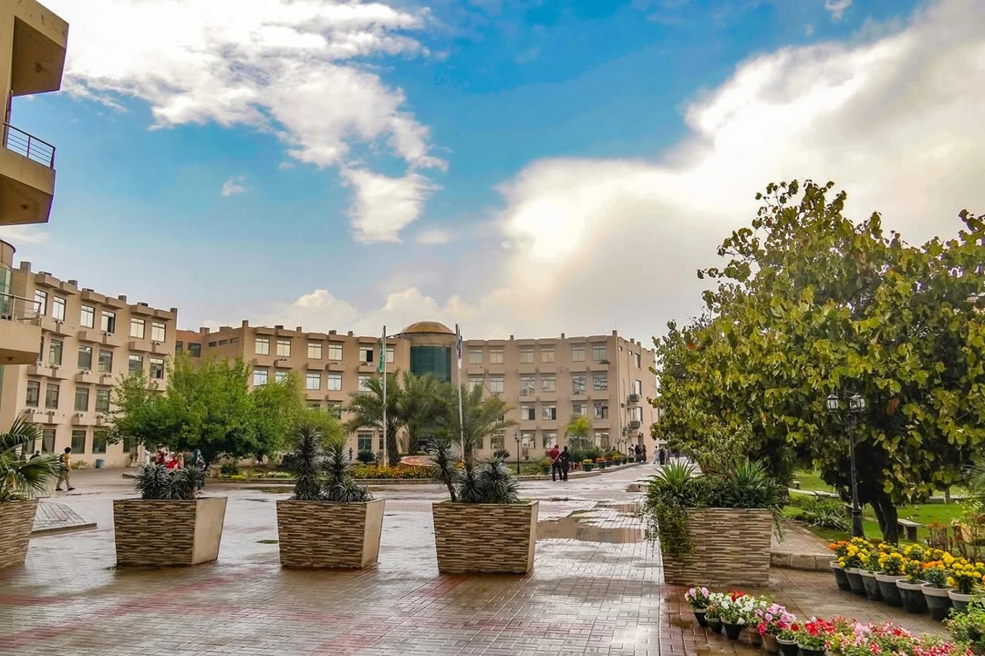 How Can BS Computer Science in Multan Secure Your Child’s Future?