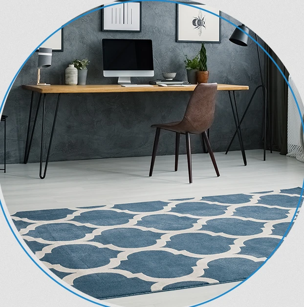 Professional Area Rug Cleaning Near Me: Trusted Urine Odor Remover