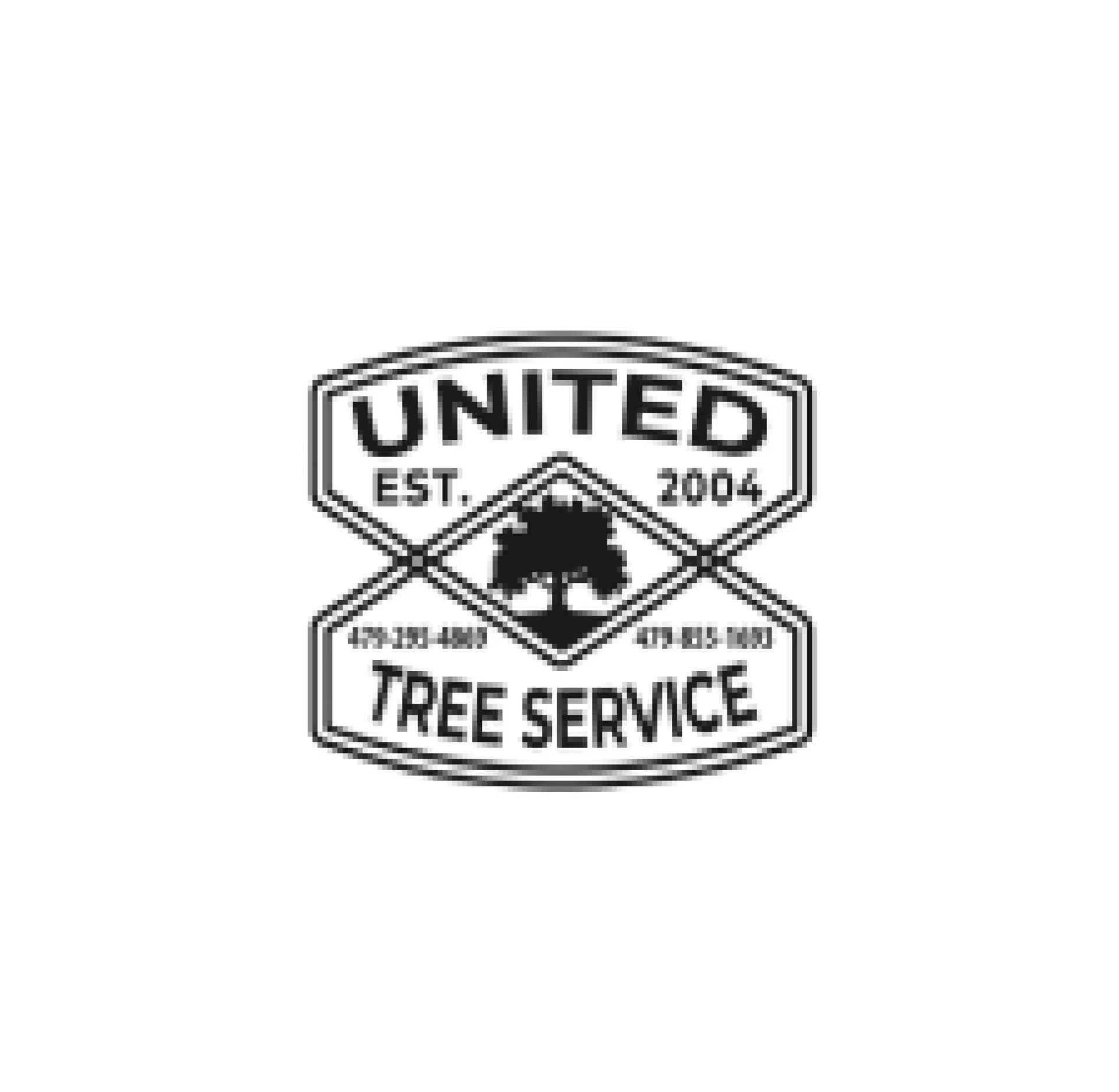 Why Choose United Tree Service LLC for Your Tree Care Needs in Stuart, FL?