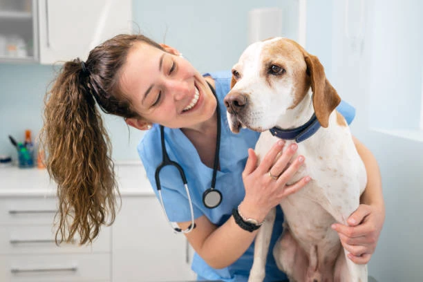 Park Hills Animal Hospital’s Tips for Maintaining Perfect Pet Nutrition