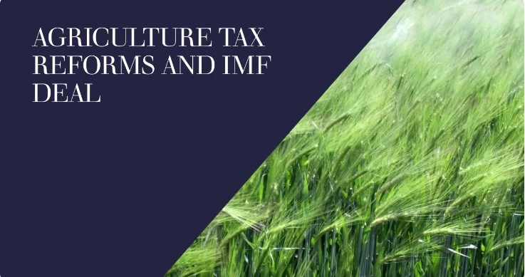 Agriculture Land for Sale – Perfect Choice for Commercial Farming