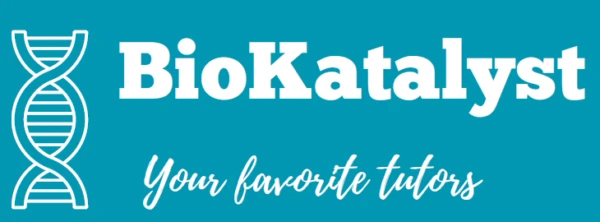 Your Complete Guide to Finding the Best GCSE Biology Tutor & A-Level Biology Tutor Online