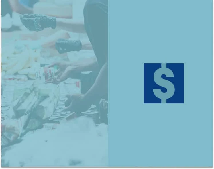 Participatory Budgeting Process