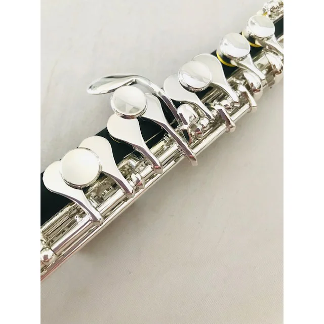 What Should You Look for When Buying Your First Flute Online