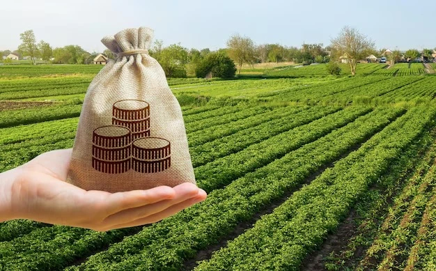 Everything You Need to Know About Loans Against Agricultural Land in India
