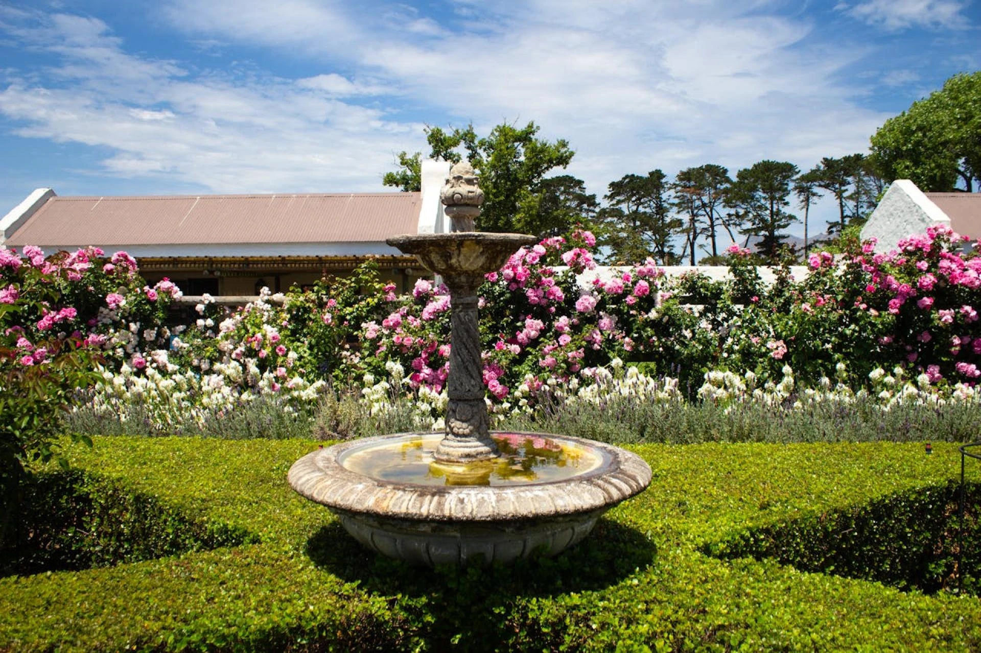 Paisajismo para jardines