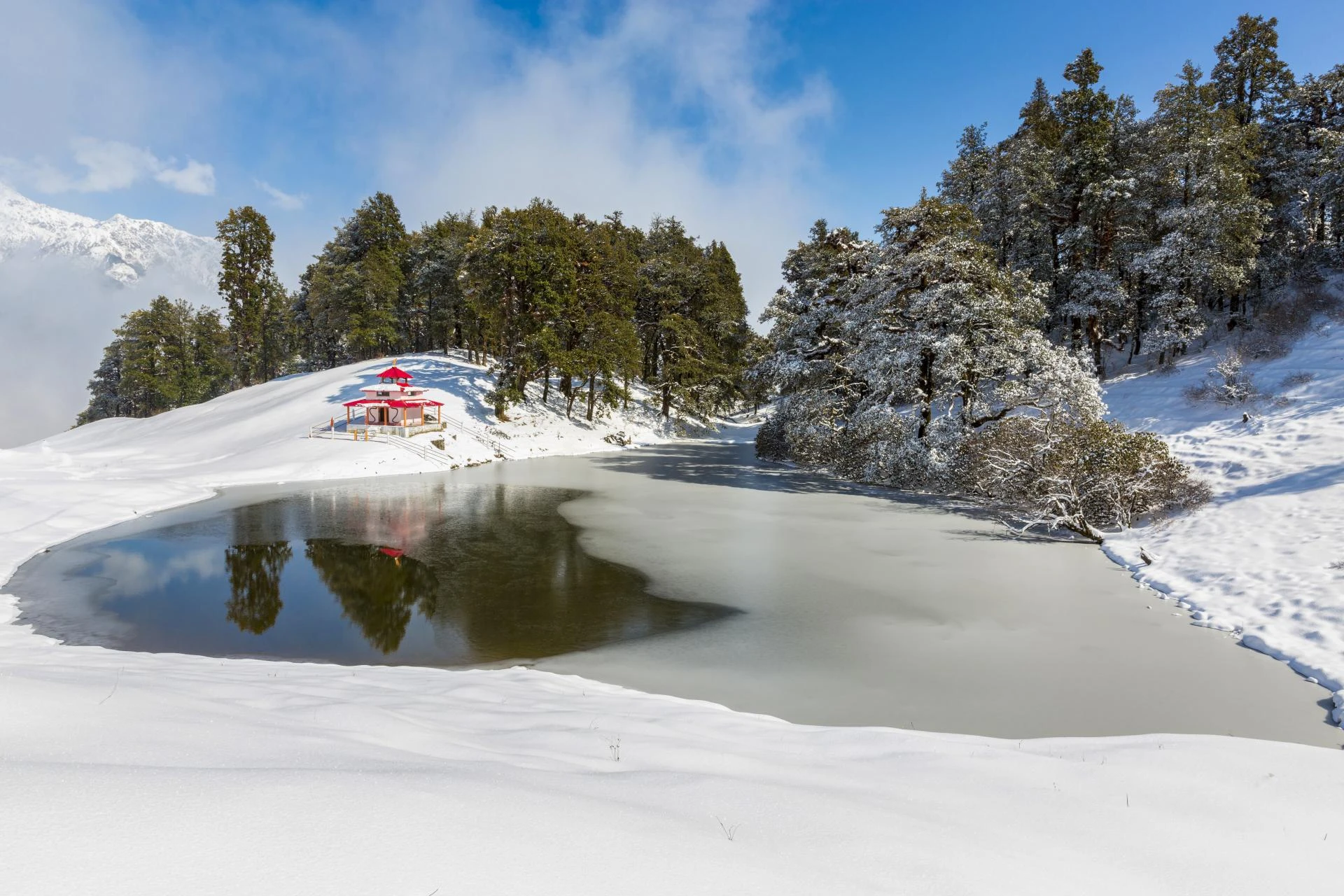 Dayara Bugyal Trek Cost: Complete Guide