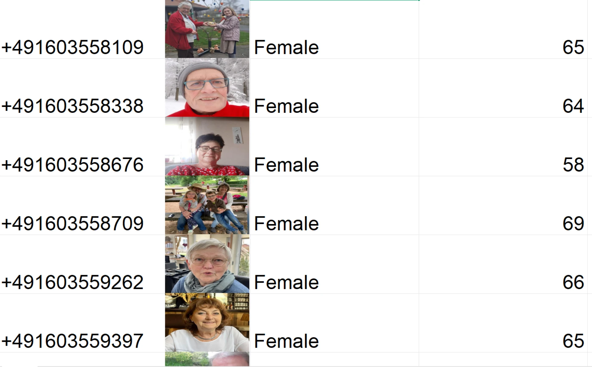 Crown-Soft WhatsApp Filters Software