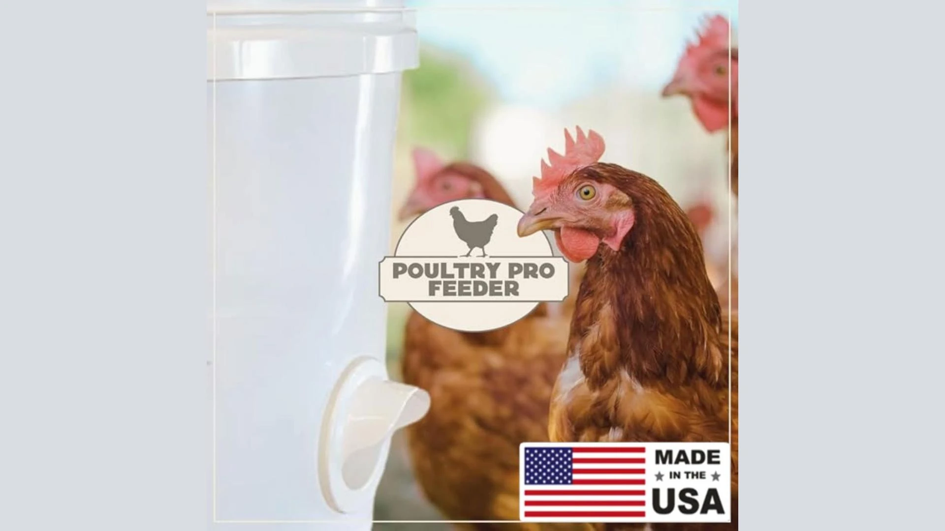 Best Poultry Pro Feeder: The Solution to Feed Your Flock without any Wastage!