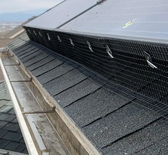 Best Anti-Pigeon Devices and Deterrents You Can Install Yourself