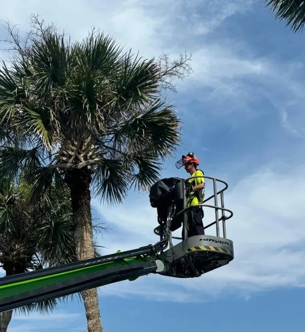 What Makes Best Tree Service a Lifesaver During Storm Cleanup Chaos?