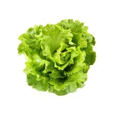 How I Started Getting Fresh Lettuce and Salad Leaves Delivered Without Any Hassle