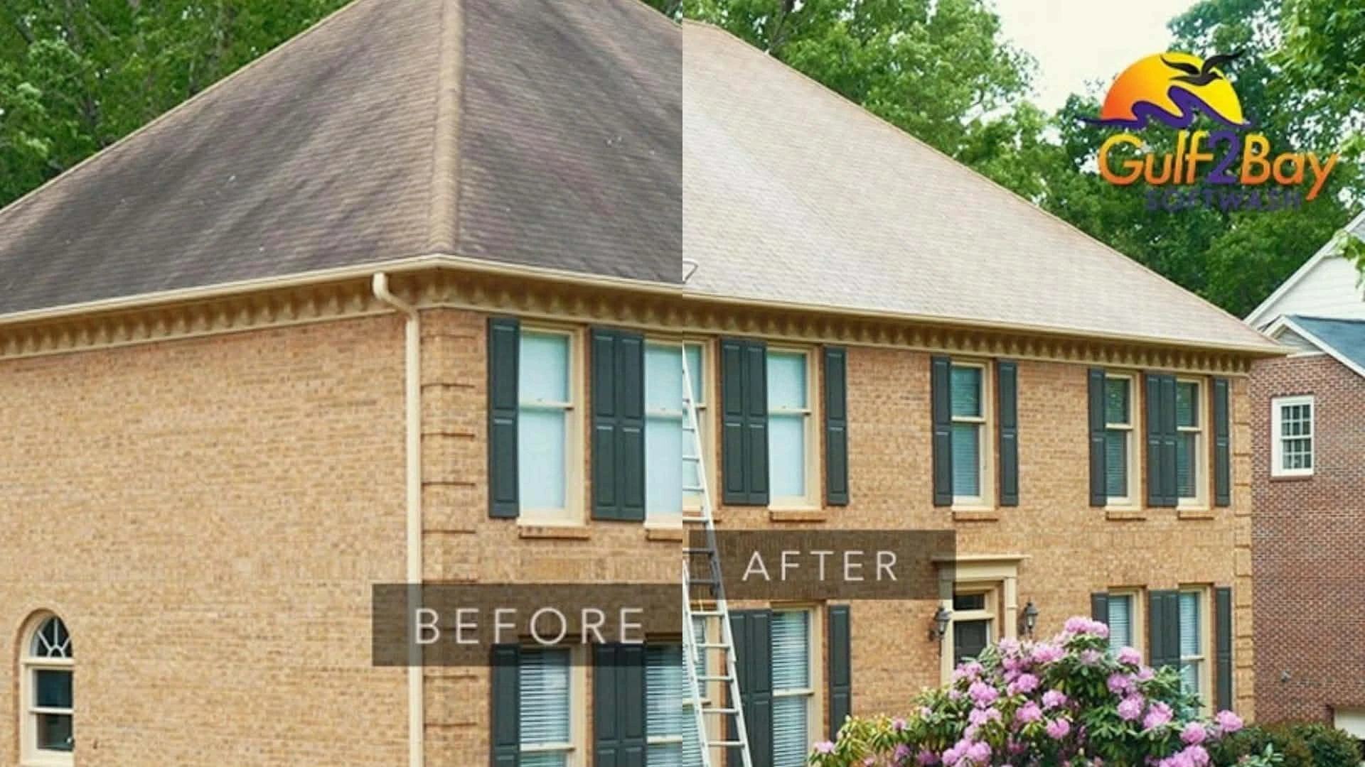 Premium Soft Washing in Smithtown, NY: Complete Exterior Care Guide
