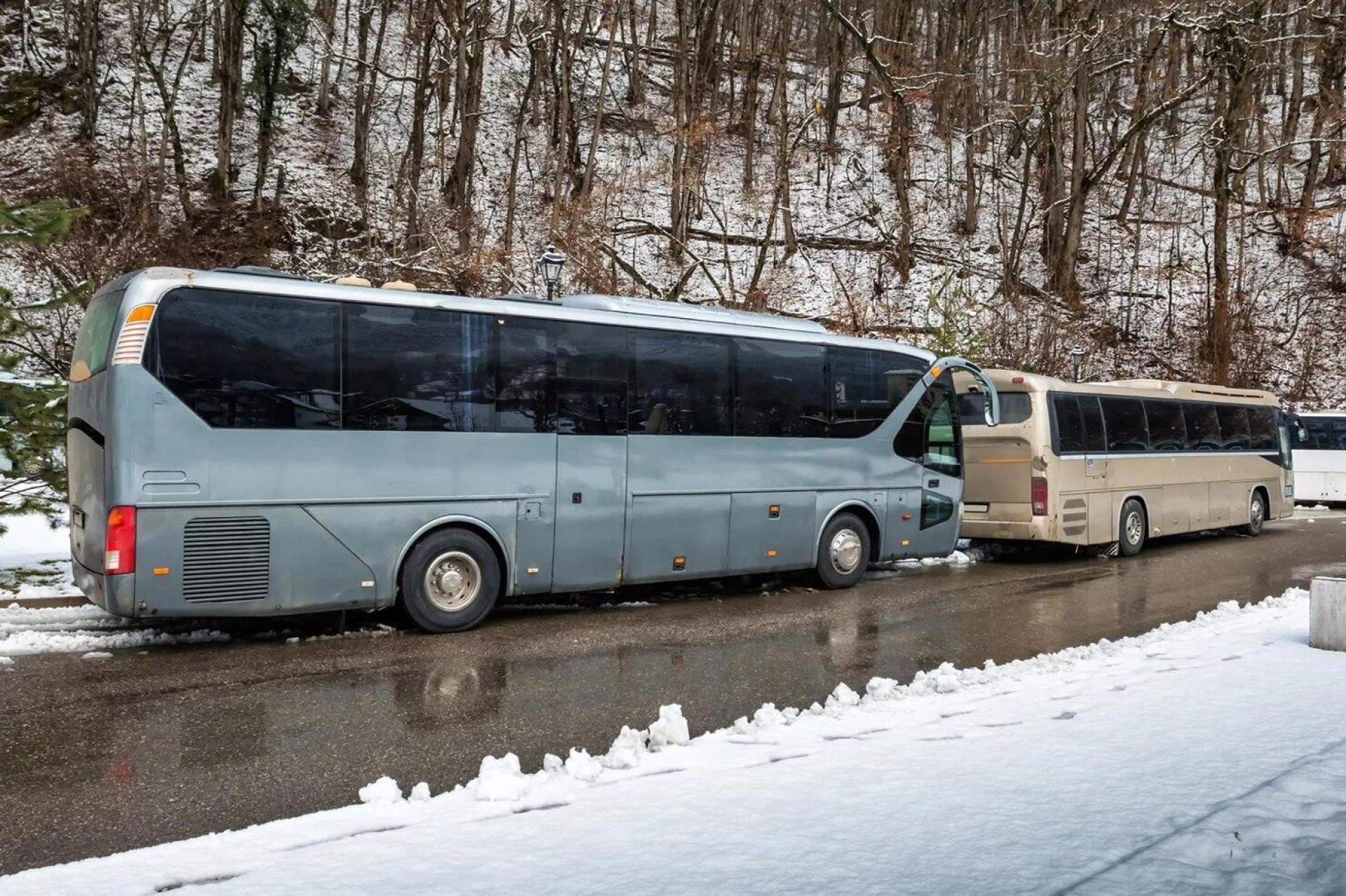 How to Turn a Simple Vancouver to Victoria Trip into an Enjoyable Experience