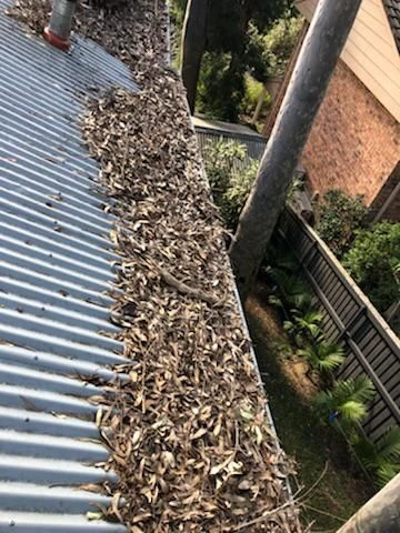 Professional Gutter Cleaners in Canberra Delivering Reliable Roof and Gutter Maintenance