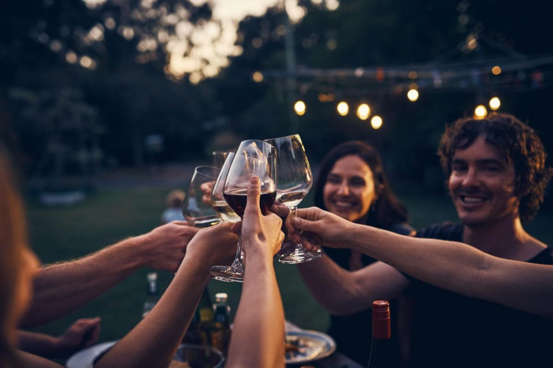 Wine Shop Chicago IL | Curated Gift Wines & Collections