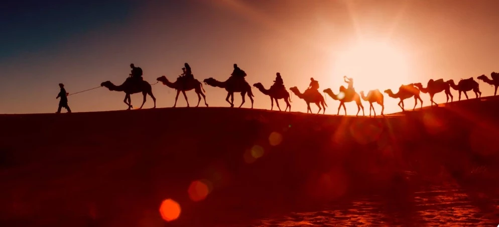 Top Reasons to Choose a Private Tour Over a Group Tour in Morocco