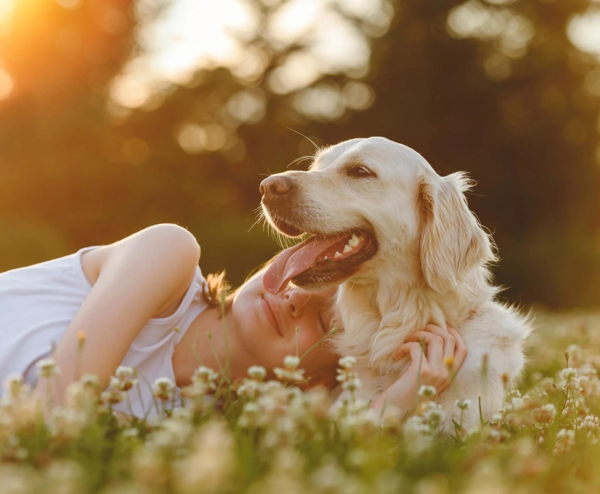 Highlighting Craftsmanship in Designer Cat Urns