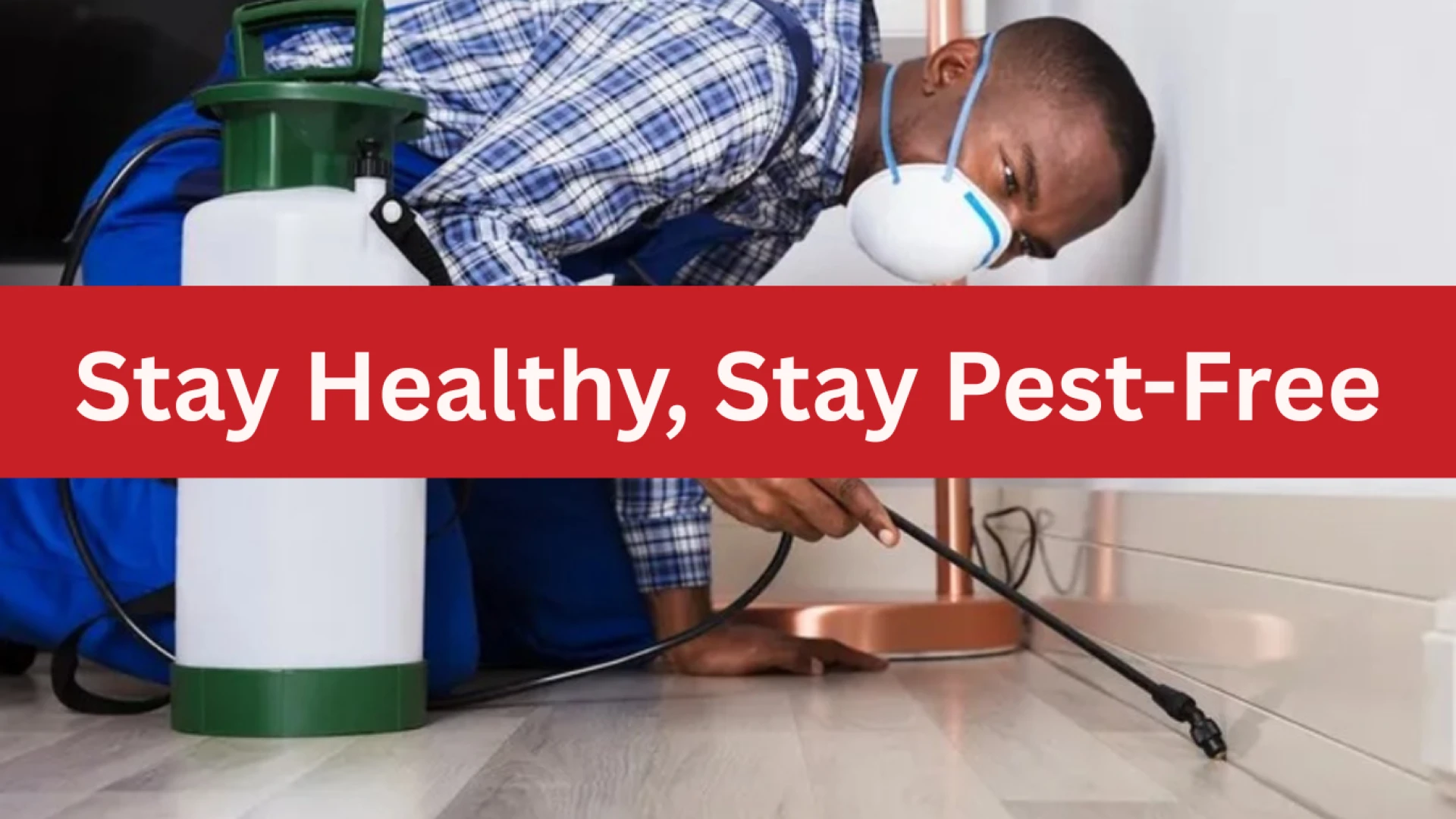 Top Pest Control Tips All Homeowners Should Follow