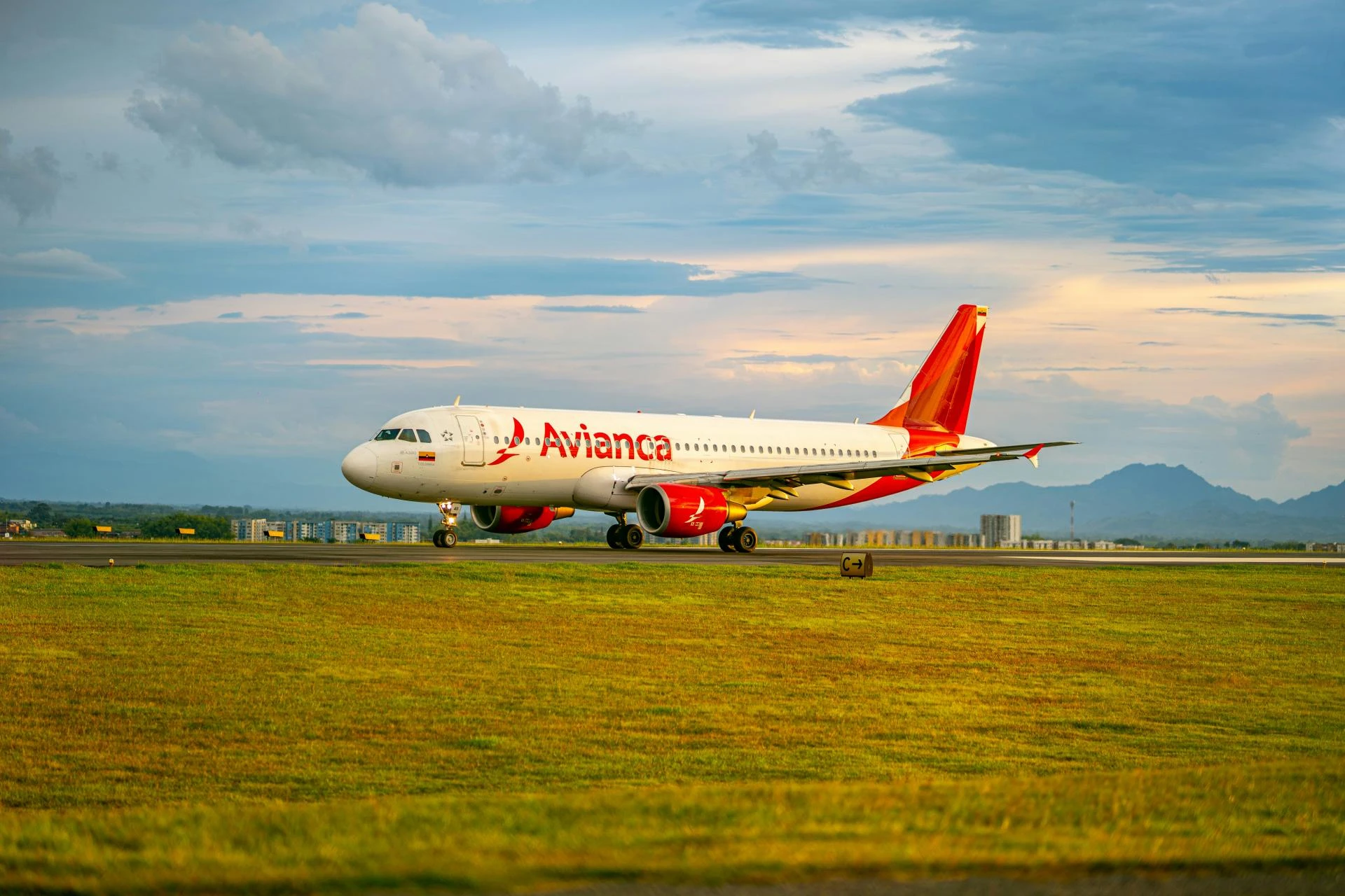 When Can I Check in for My Avianca Flight?