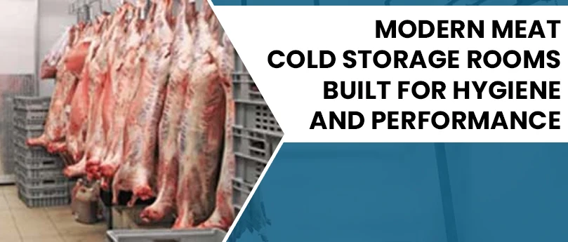 Modern Meat Cold Storage Rooms Built for Hygiene and Performance