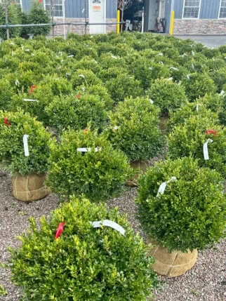 Comprehensive Landscaping Supplies and Nursery Services for Clarence and Buffalo, NY