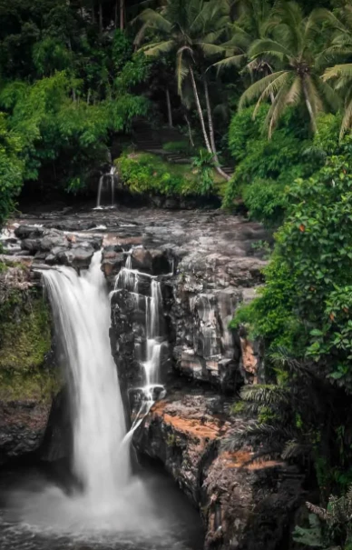 Kerala Tour Packages by Travel Hope: Experience Nature, Culture & Comfort