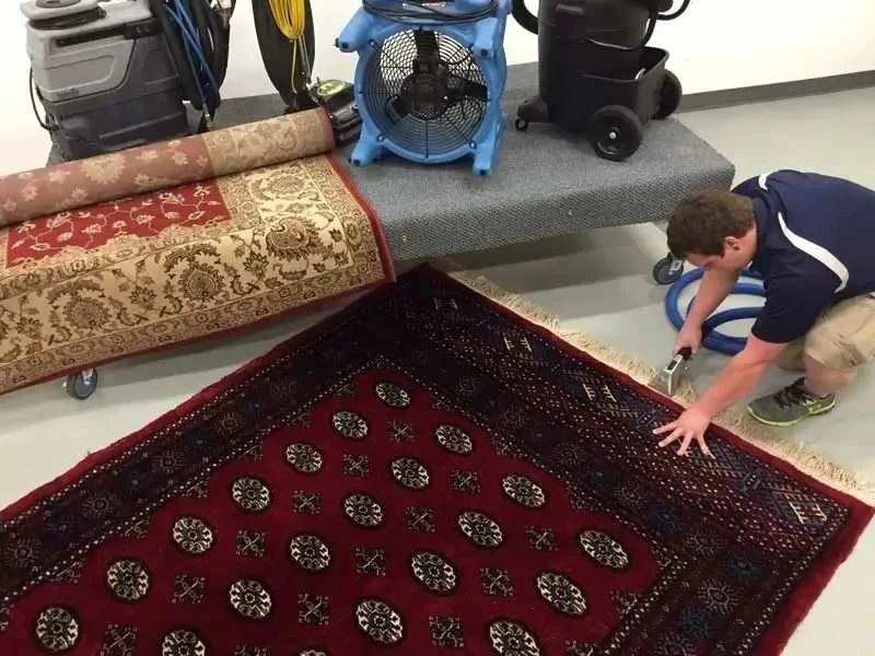 Regular Carpet Vacuuming and Professional Carpet Cleaning Should Go Hand in Hand