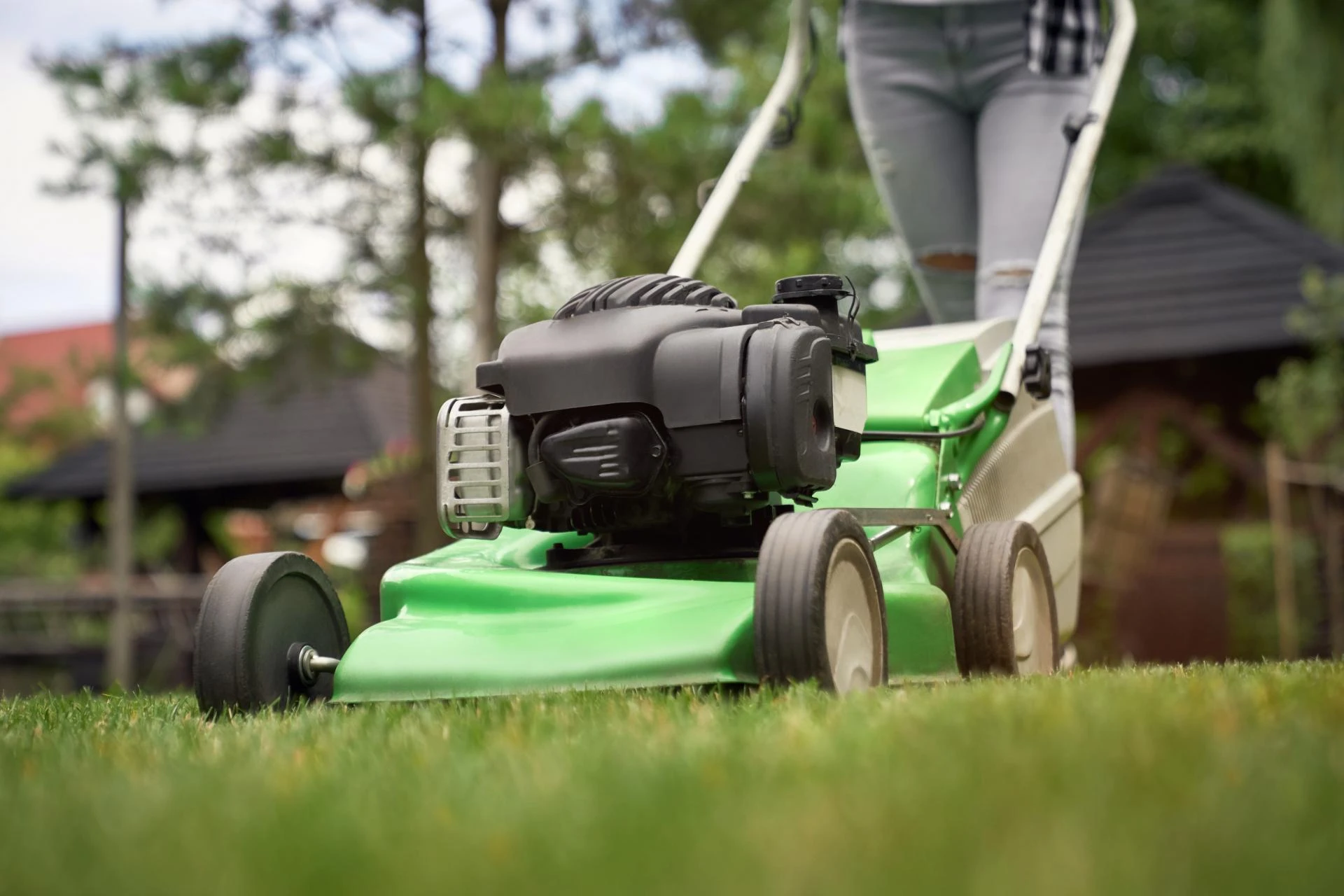 Unveiling the Fascinating Facts About Professional Lawn Mowing Services