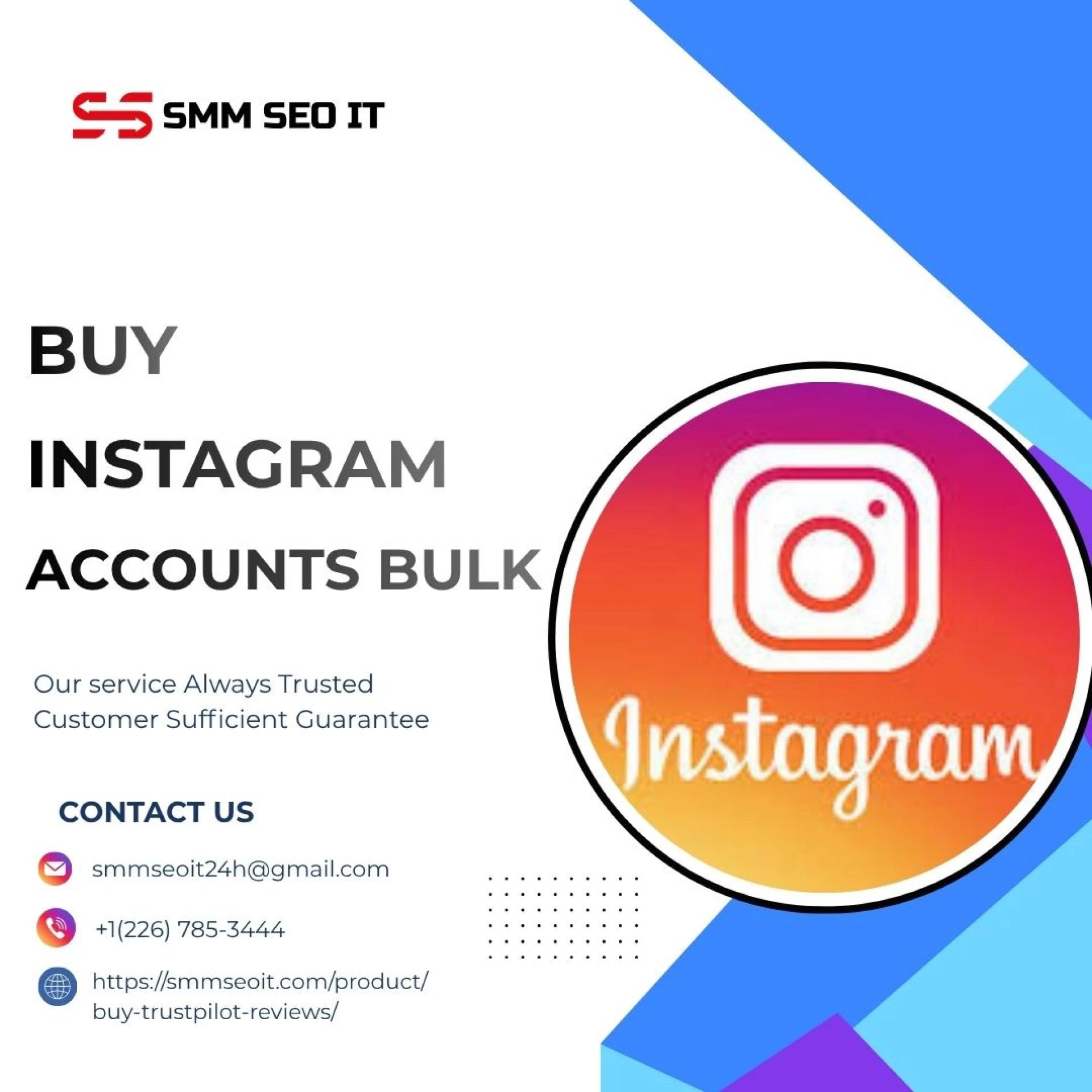 Maximize Your Reach: Buy Instagram Accounts in Bulk 2025