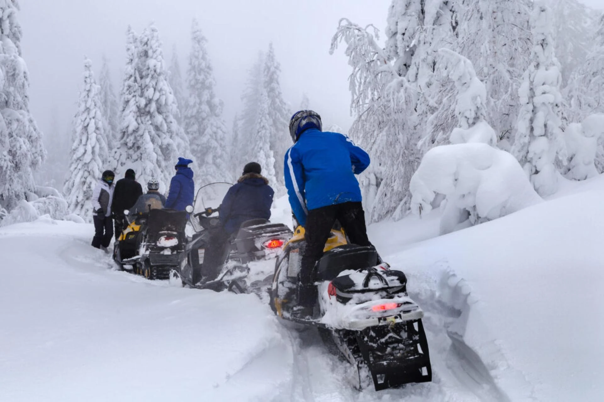 Lapland Guided Holiday Experiences That Redefine Luxury Travel in the Arctic