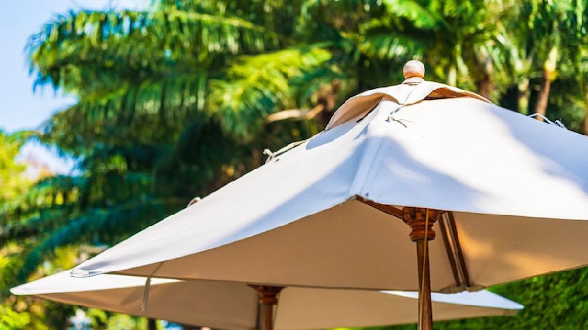 Pergolas Roof Solution in Fort Worth That Turn Backyard Spaces Into Relaxing Retreats