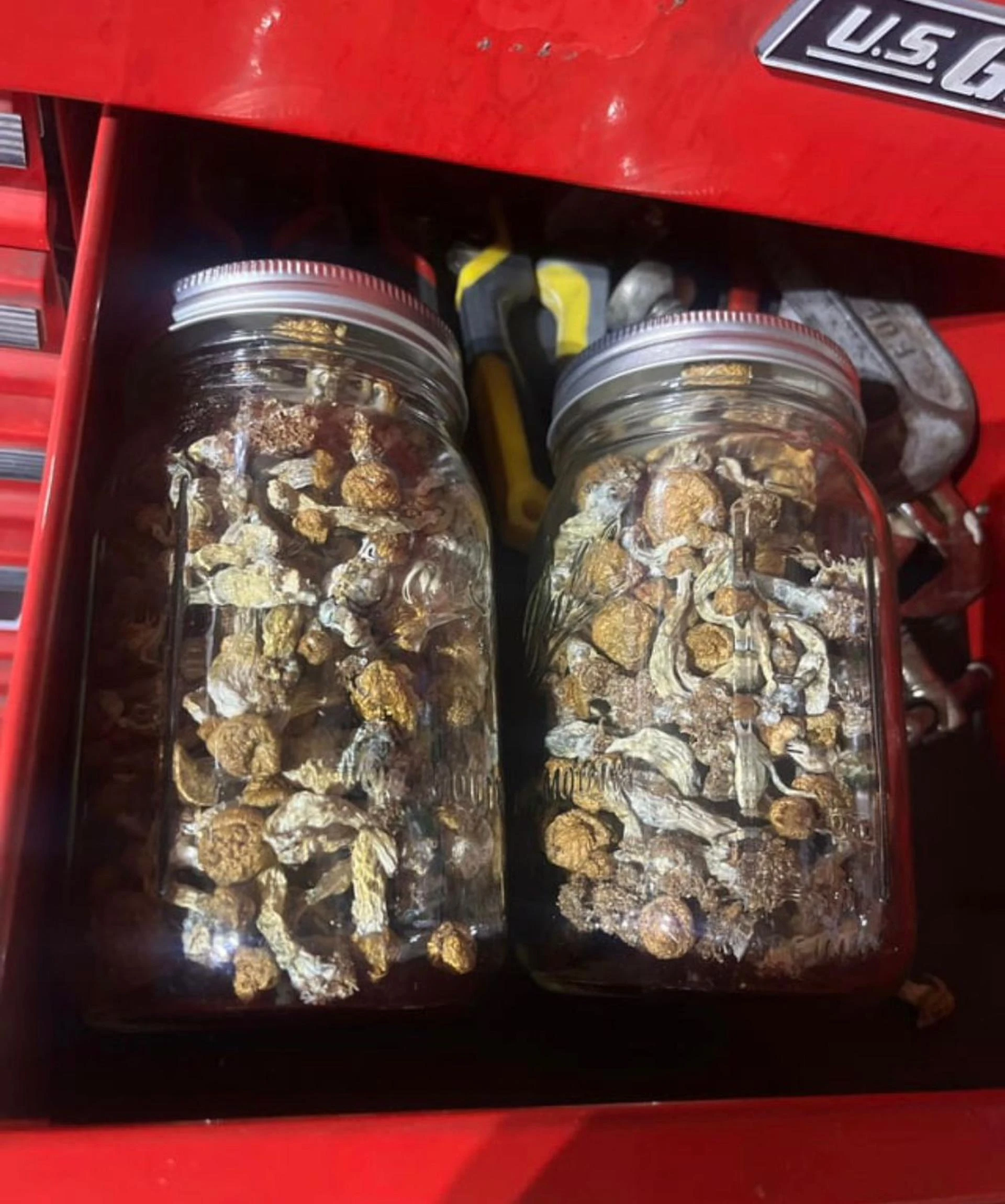 The unspoken truth about magic mushrooms in UK