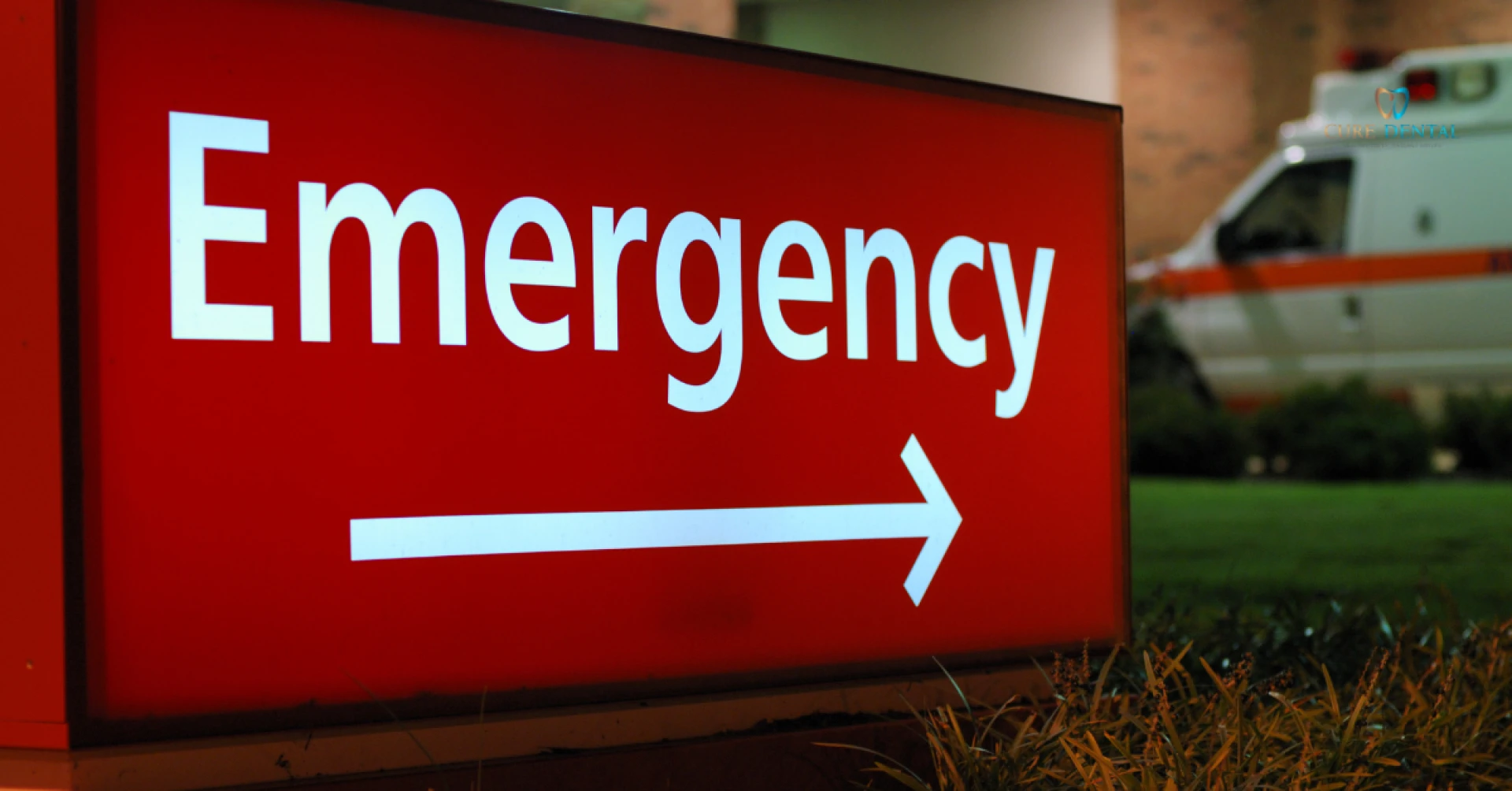 What to Expect at an Emergency dental clinic Belton Visit
