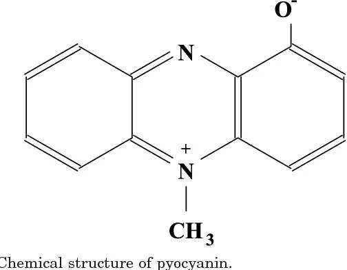 Pyocyanin  