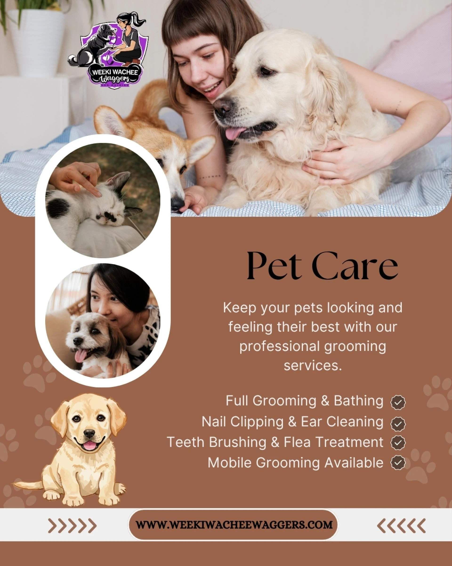 Caring for Pets in a Growing Spring Hill Community