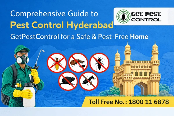 Best Pest Control Hyderabad – Trusted Experts Near You