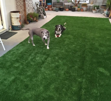 How to Design a Professional-Quality Putting Green at Home