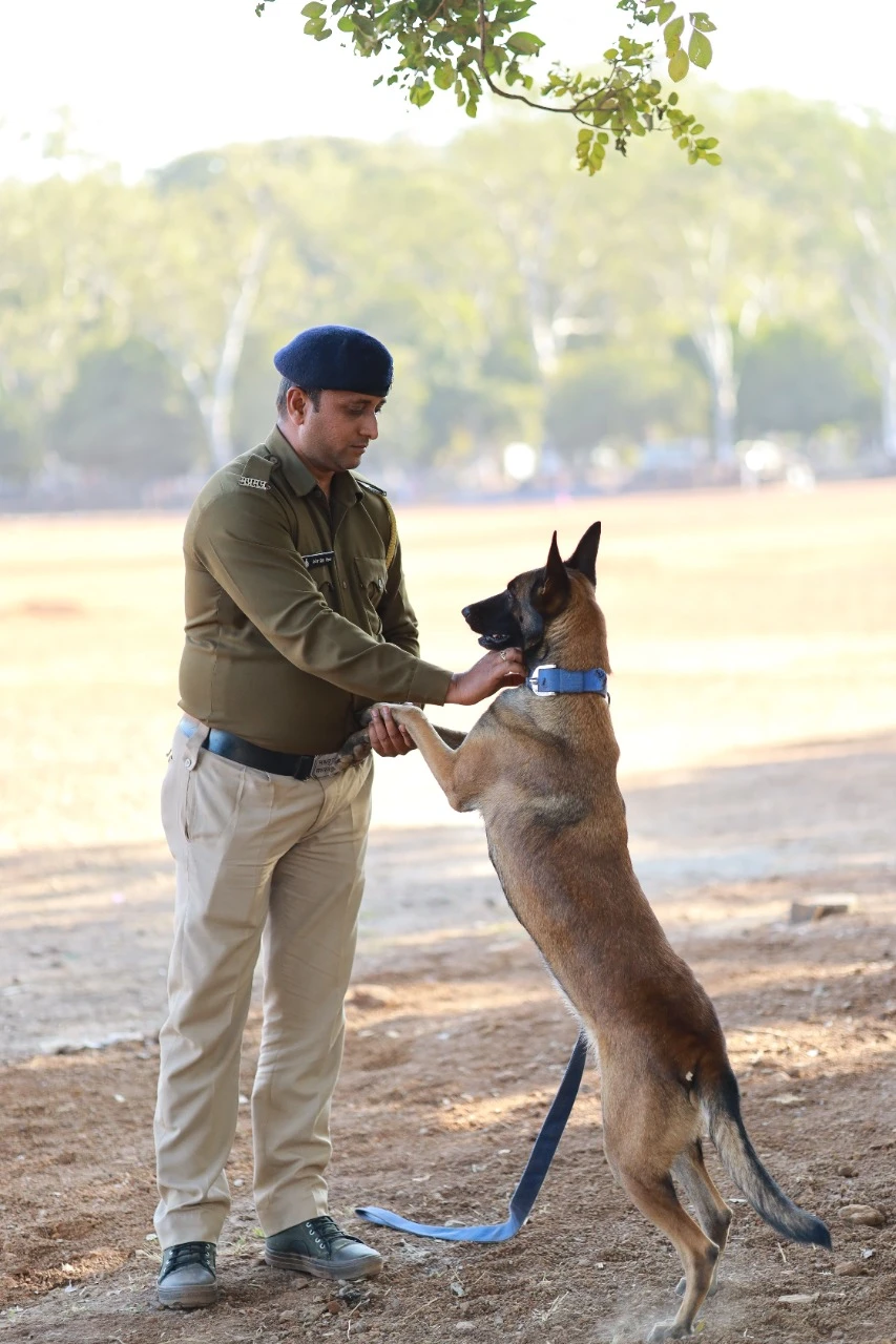 Belgian Malinois to join MP Police’s dog squad